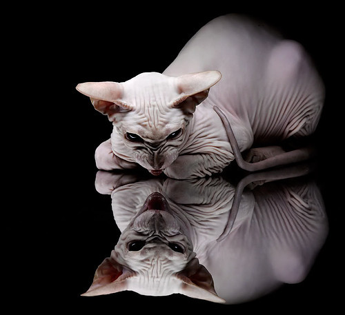 三年滑行段对比:中方控制更精准