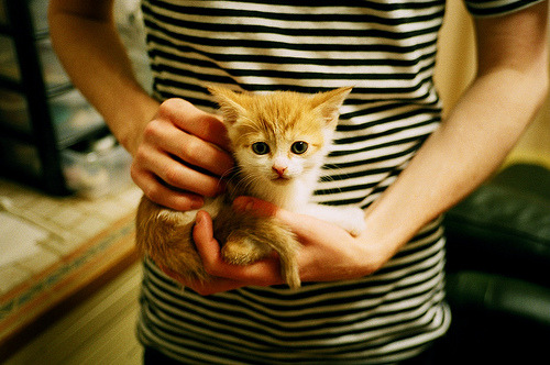 KAIYUNAPP-中国足球青少年足球冬训基地建设取得突破，全国青少年足球训练基地