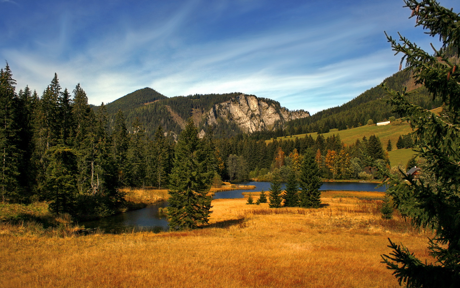 女子足球加快青训融合进程实现从校园到职业直通,青少年女子足球队