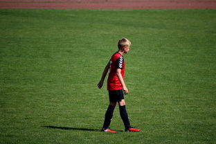 kaiyun网站-未来足球场馆将融合智能照明和环境监测系统，绿色科技引领行业